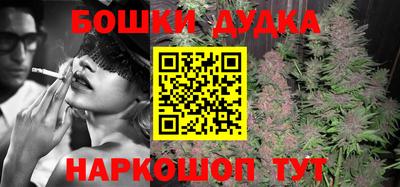 индика Нальчик