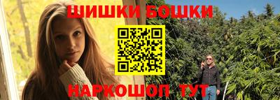 индика Нальчик